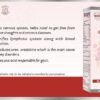 WhatsApp Image 2026-02-08 at 1.17.27 AM Redpro Ayurvedic Blood Purifier Syrup 200ml